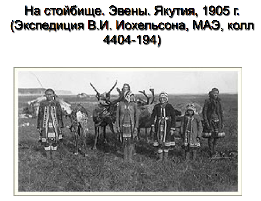 Животное новорожденному в семье эвенов. Народы Сибири в 17 веке эвенки. Тунгусы эвенки и эвены. Племена эвенков Тунгусов в 17 веке. Тунгусы народ 17 века.